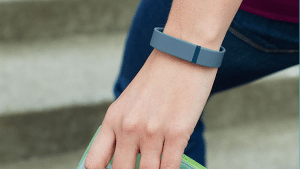 Blog-pic-Fitbit fitbit image