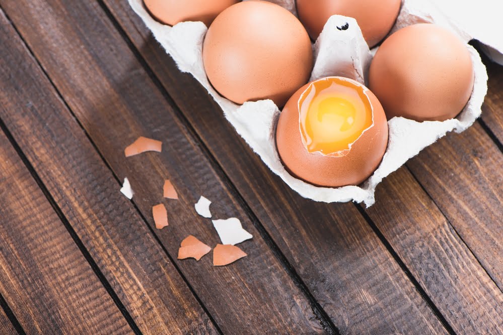 eggshell plaintiff pre-existing conditions