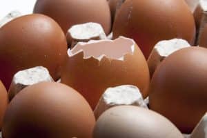 eggshell-plaintiff-pre-existing-conditions eggshell plaintiff pre-existing conditions
