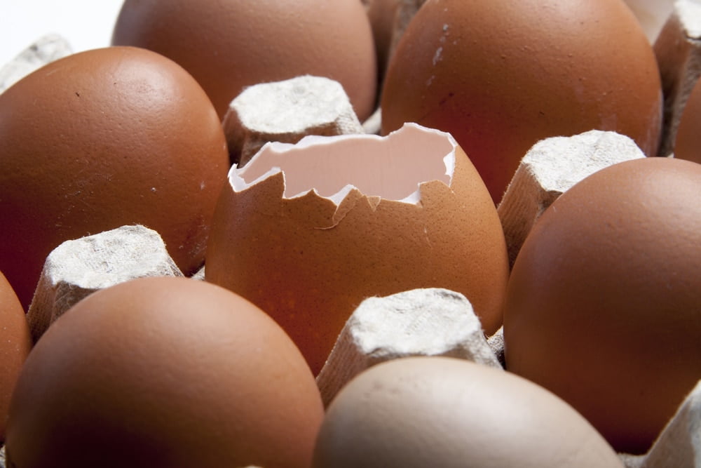 eggshell plaintiff pre-existing conditions