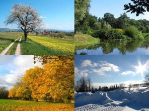 pic-seasons seasons image