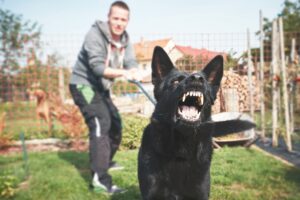 Aggressive,Dog,Is,Barking.,Young,Man,With,Angry,Black,Dog Dog bite or other dog attacks